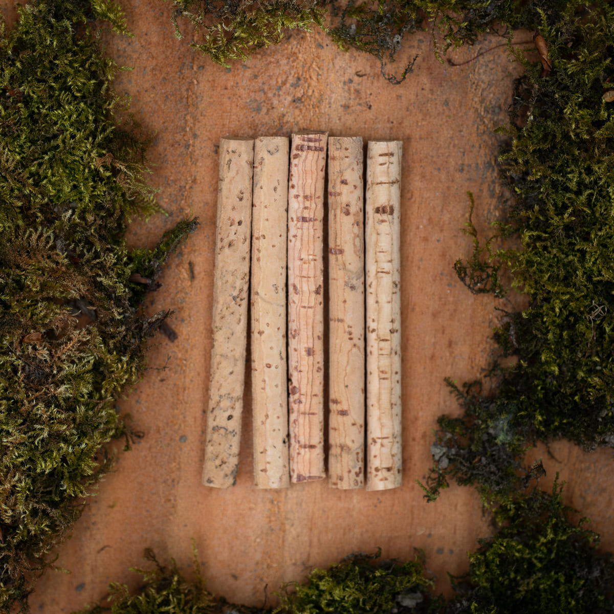 Corksticks Refill 65mm (5pcs)