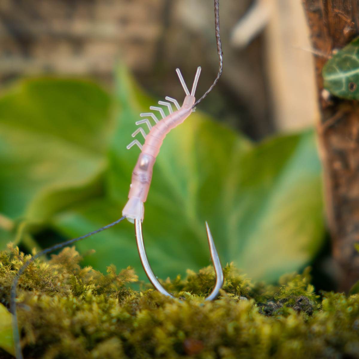 Shrimp Aligner (8pcs)