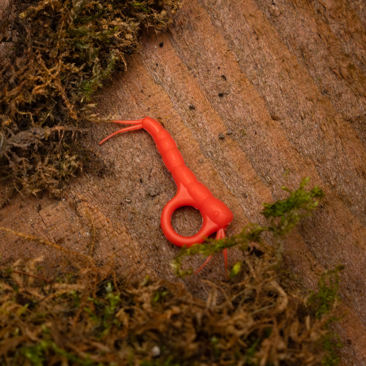 Snail-aligner Zig Kit