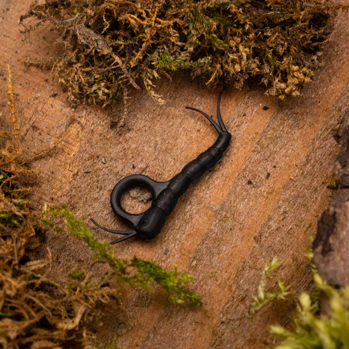 Snail-aligner Zig Kit